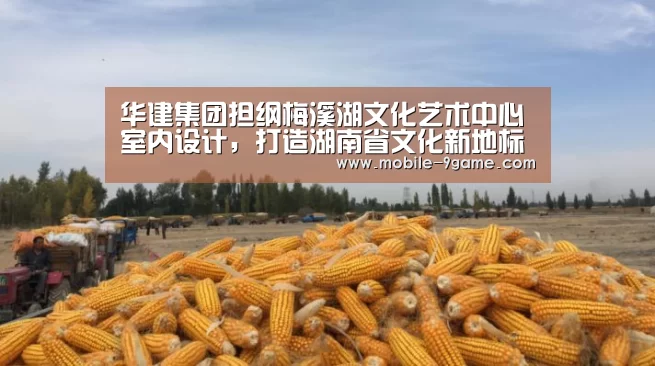 华建集团担纲梅溪湖文化艺术中心室内设计,打造湖南省文化新地标“九游体育app”(图4) 九游体育